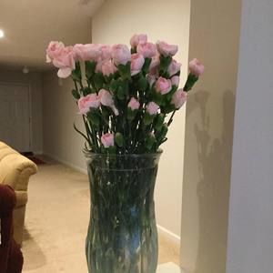 Meet your Posher, Jodie